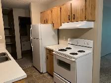 NO STAIRS! Spacious Well Maintained Building 2 Bed, 1 Bath - Photo 2