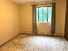 NO STAIRS! Spacious Well Maintained Building 2 Bed, 1 Bath - Photo 7