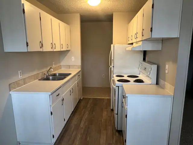 Spacious 2 Bedroom 1 Bath Apartment in the heart of Red Deer! - Photo 2