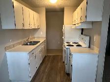Spacious 2 Bedroom 1 Bath Apartment in the heart of Red Deer! - Photo 2