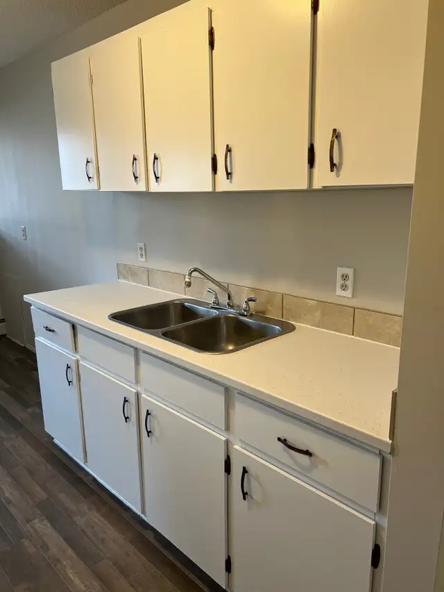 Spacious 2 Bedroom 1 Bath Apartment in the heart of Red Deer! - Photo 3