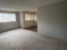 Spacious 2 Bedroom 1 Bath Apartment in the heart of Red Deer! - Photo 4