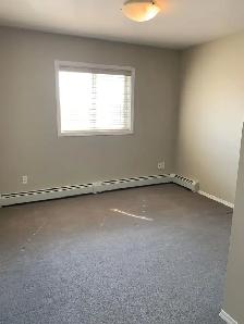 Amazing Condo in Sylvan lake! 2 bed, 2 bath w/ UG Parking - Photo 8