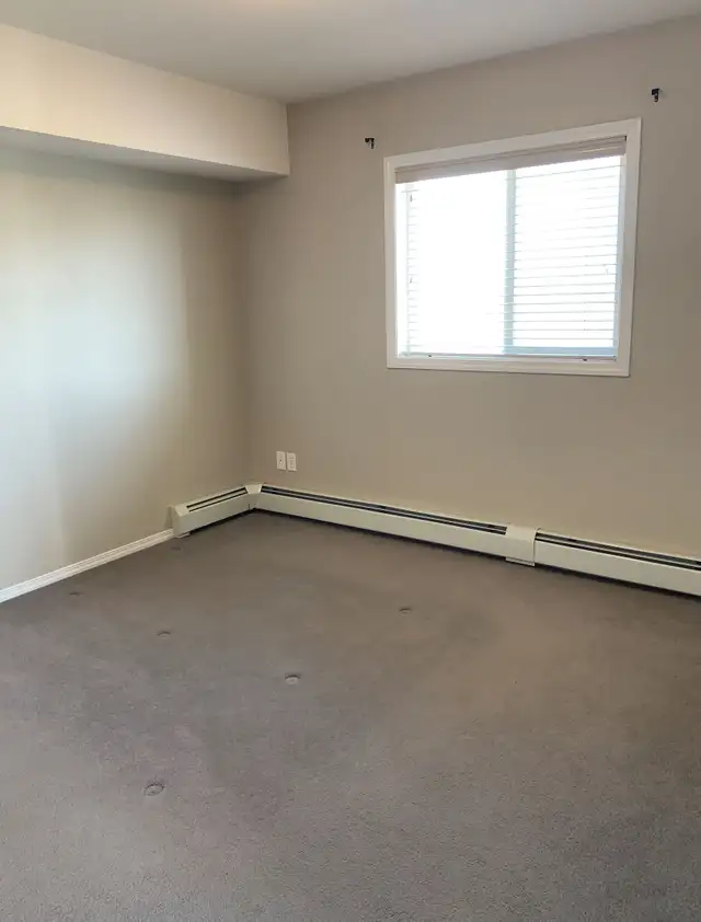 Amazing Condo in Sylvan lake! 2 bed, 2 bath w/ UG Parking - Photo 13