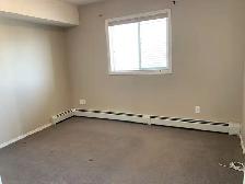 Amazing Condo in Sylvan lake! 2 bed, 2 bath w/ UG Parking - Photo 16