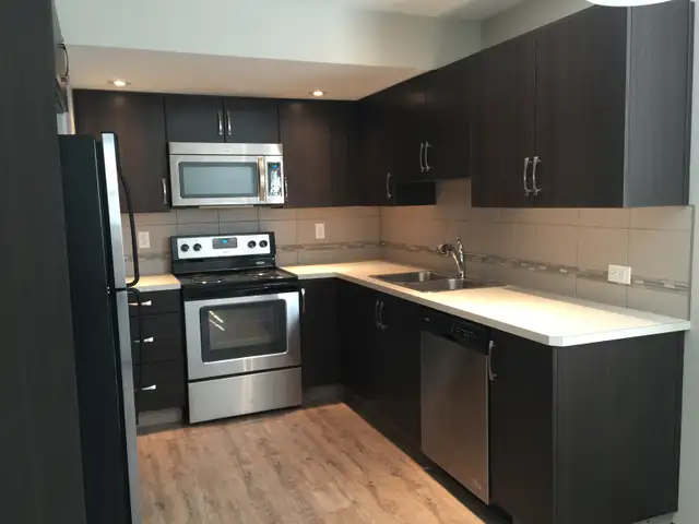 Gorgeous Basement Suite in Vanier East! 2 bed, 1 bath - Photo 3