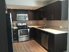 Gorgeous Basement Suite in Vanier East! 2 bed, 1 bath - Photo 3