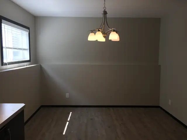 Gorgeous Basement Suite in Vanier East! 2 bed, 1 bath - Photo 4