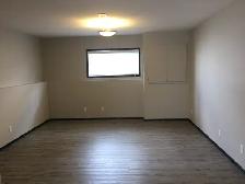Gorgeous Basement Suite in Vanier East! 2 bed, 1 bath - Photo 6