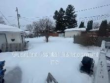 2 Bedroom, 1 Bath Lower-Level Unit – 2606 Woodlawn Ave – $1,900/ - Photo 8