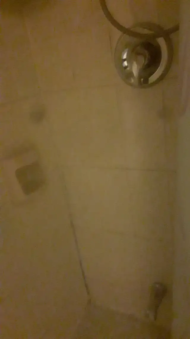 1 Bedroom walkout apartment utilities included Weston Rd/ Finch - Photo 8