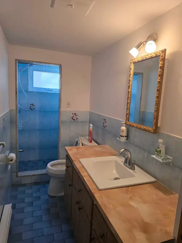 4 1/2 Semi-basement apartment for rent H1E 2R5 Montréal - Photo 5