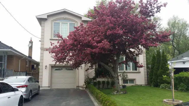 EXTREMELY BEAUTIFUL LARGE ROOM IN A WELCOME NEW HOUSE - Photo 6