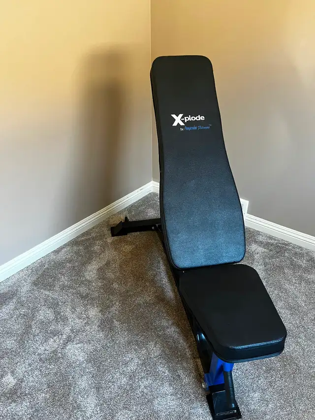 Adjustable workout bench