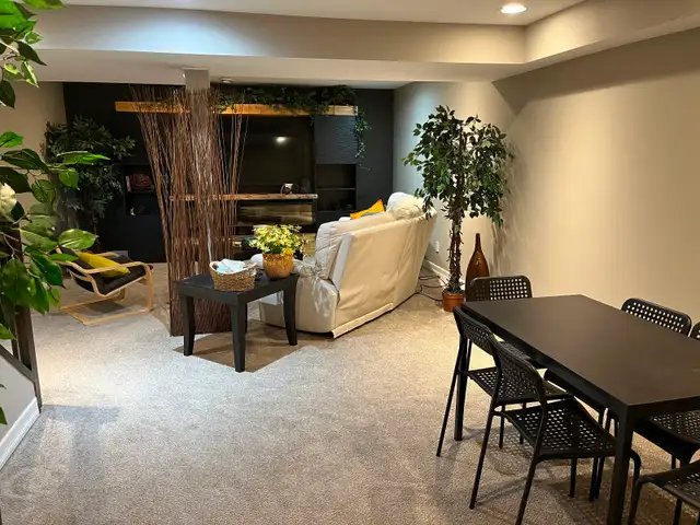 Steinbach One Side of Duplex - Photo 4