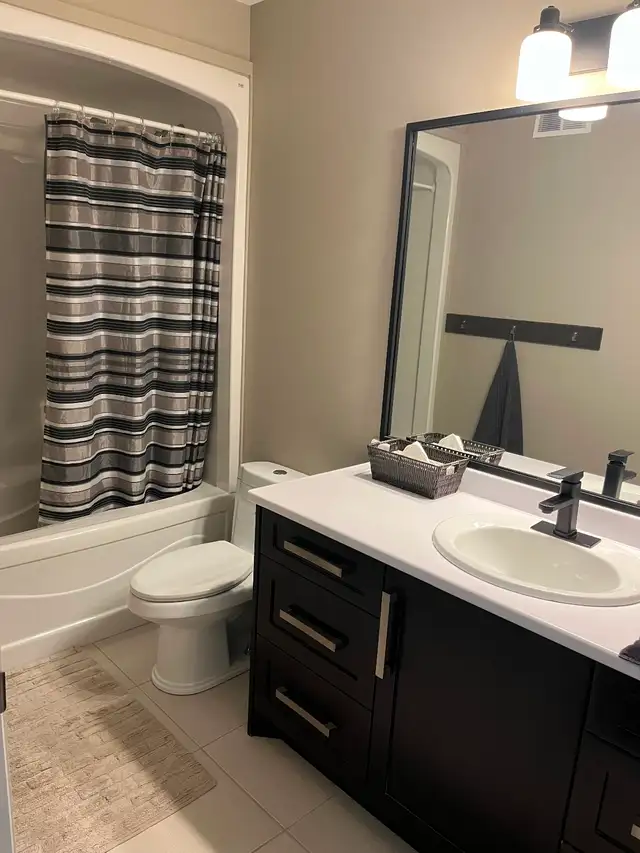 Steinbach One Side of Duplex - Photo 6