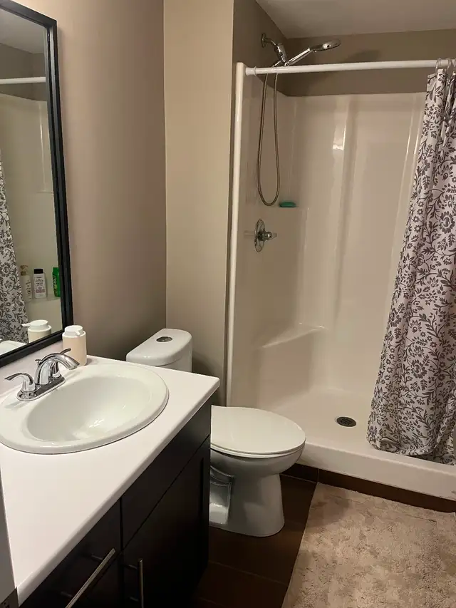 Steinbach One Side of Duplex - Photo 8