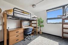 Guelph Summer Sublet