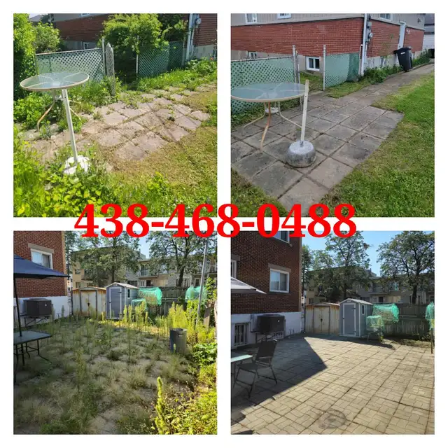 Ramassage feuilles ☆ Entretien terrain ☆ Nettoyage pression