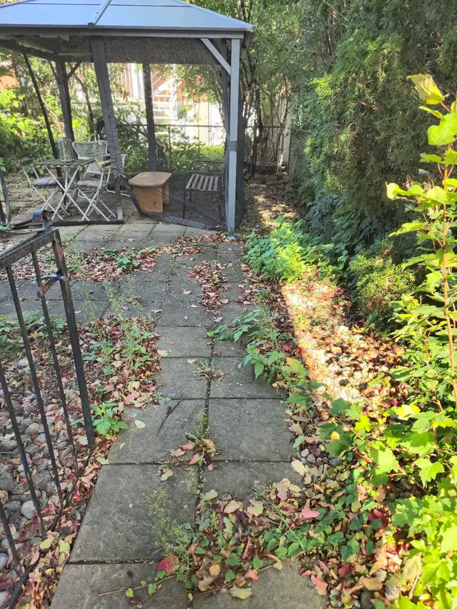 Ramassage feuilles ☆ Entretien terrain ☆ Nettoyage pression - Photo 3