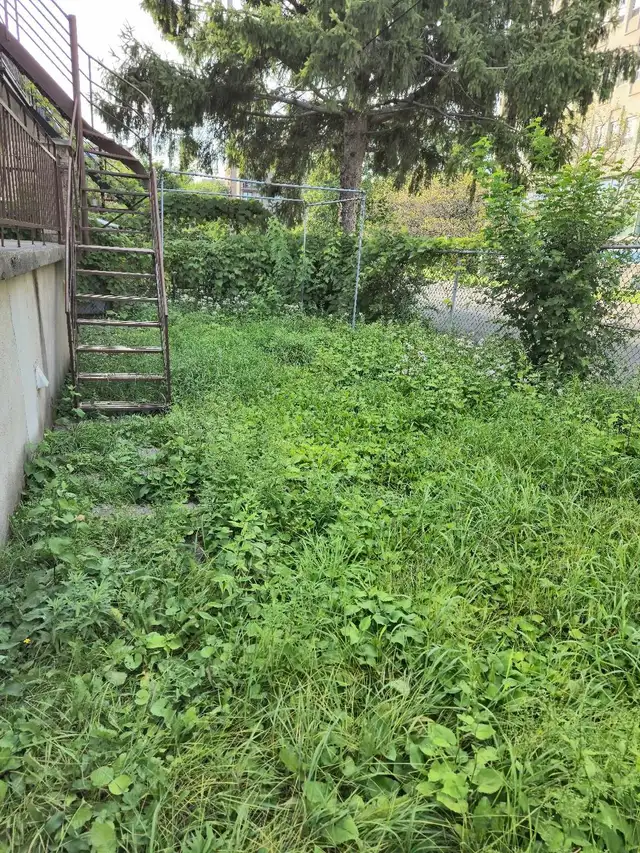 Ramassage feuilles ☆ Entretien terrain ☆ Nettoyage pression - Photo 5