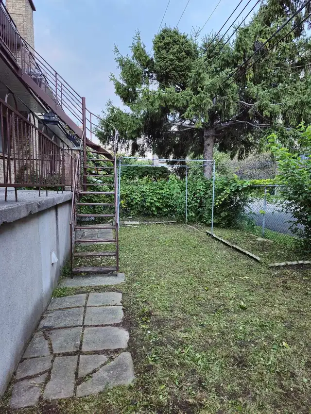 Ramassage feuilles ☆ Entretien terrain ☆ Nettoyage pression - Photo 6