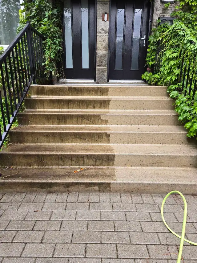 Ramassage feuilles ☆ Entretien terrain ☆ Nettoyage pression - Photo 7