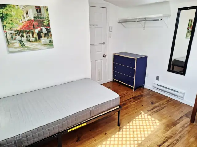 May 1-Sunny Male Rm All Included-Near D/T-4 mths. or longer