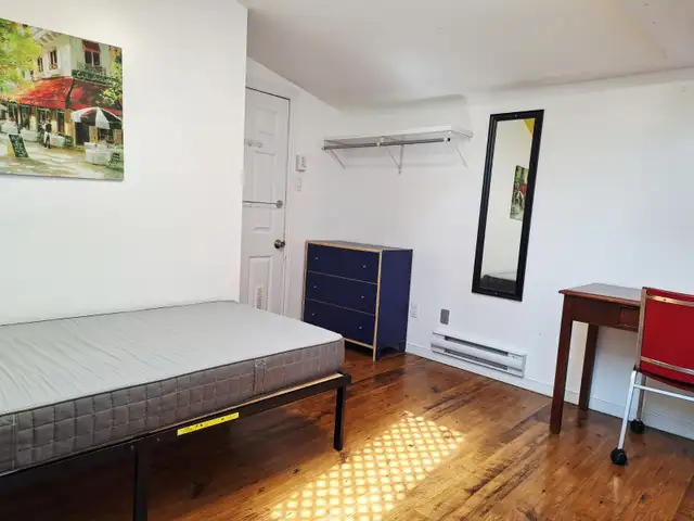 May 1-Sunny Male Rm All Included-Near D/T-4 mths. or longer - Photo 6