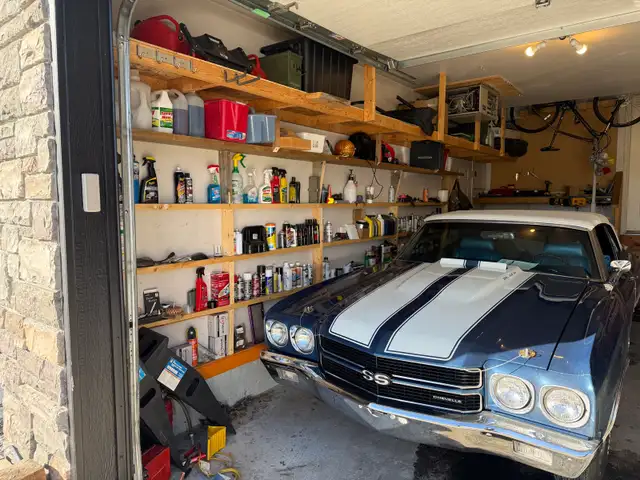 PAINTER NEEDED (to paint my garage)