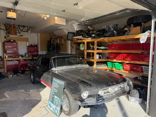 PAINTER NEEDED (to paint my garage) - Photo 2