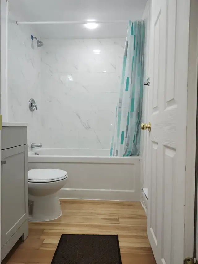 SHARING/PRIVATE ROOM ,MAIN FLOOR AVALABLE NOW/May 01 - Photo 5