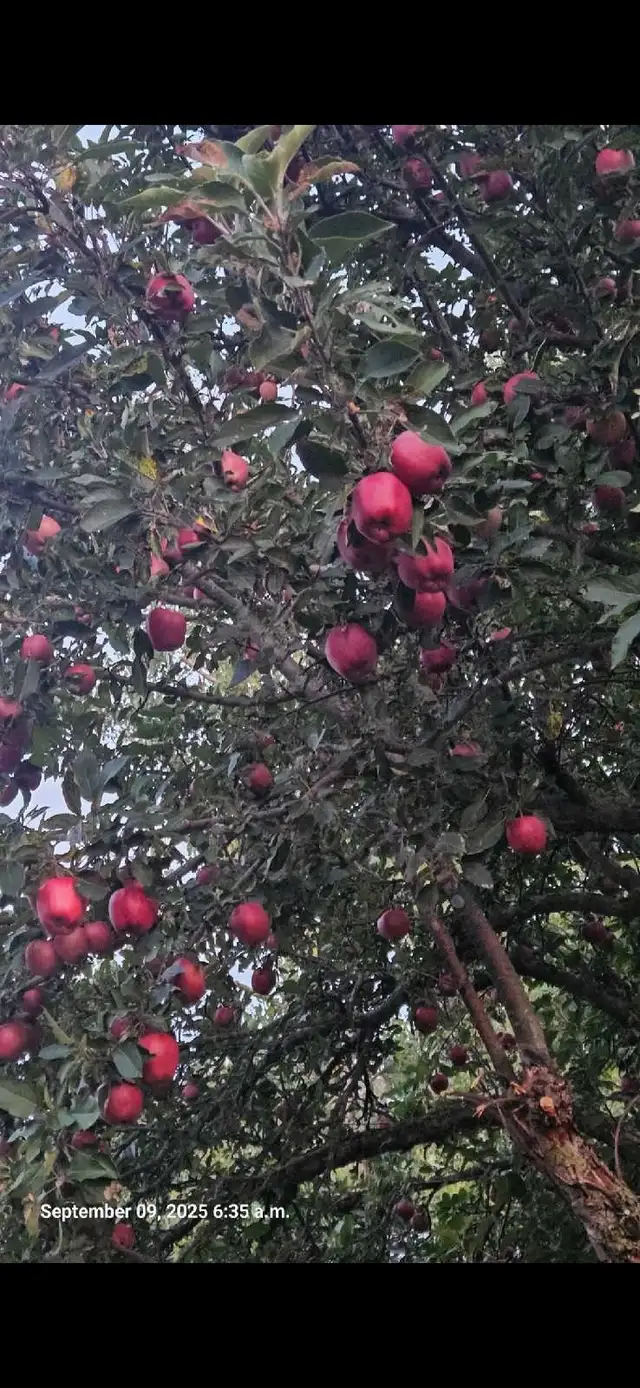 2024 Zinger Trailer in Bailey's Bay - Photo 5