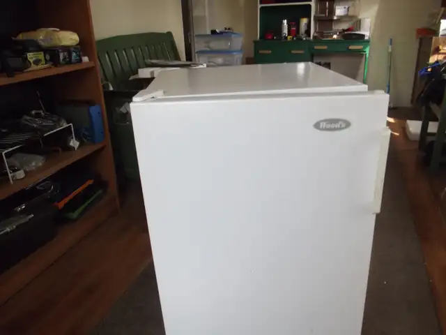 SMALL WOODS UPRIGHT FREEZER