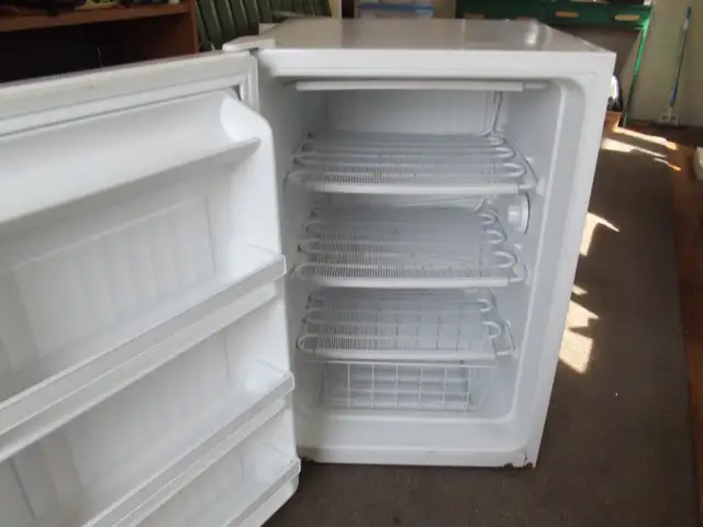 SMALL WOODS UPRIGHT FREEZER - Photo 2