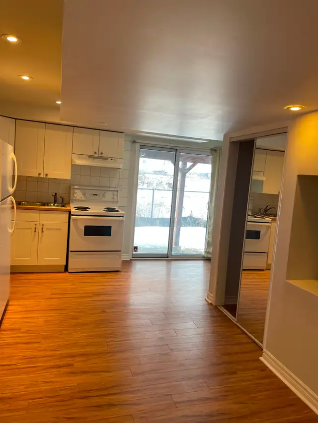 Newmarket Seperate entrance walkout basement for rent