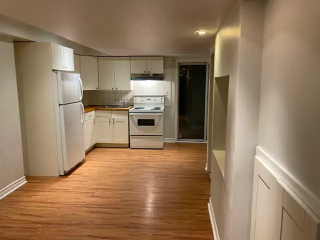 Newmarket Seperate entrance walkout basement for rent - Photo 11