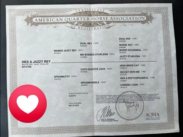 Well Bred 2025 Barrel/Breakaway Prospect