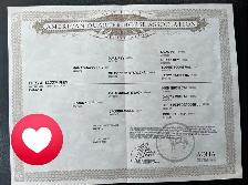 Well Bred 2025 Barrel/Breakaway Prospect