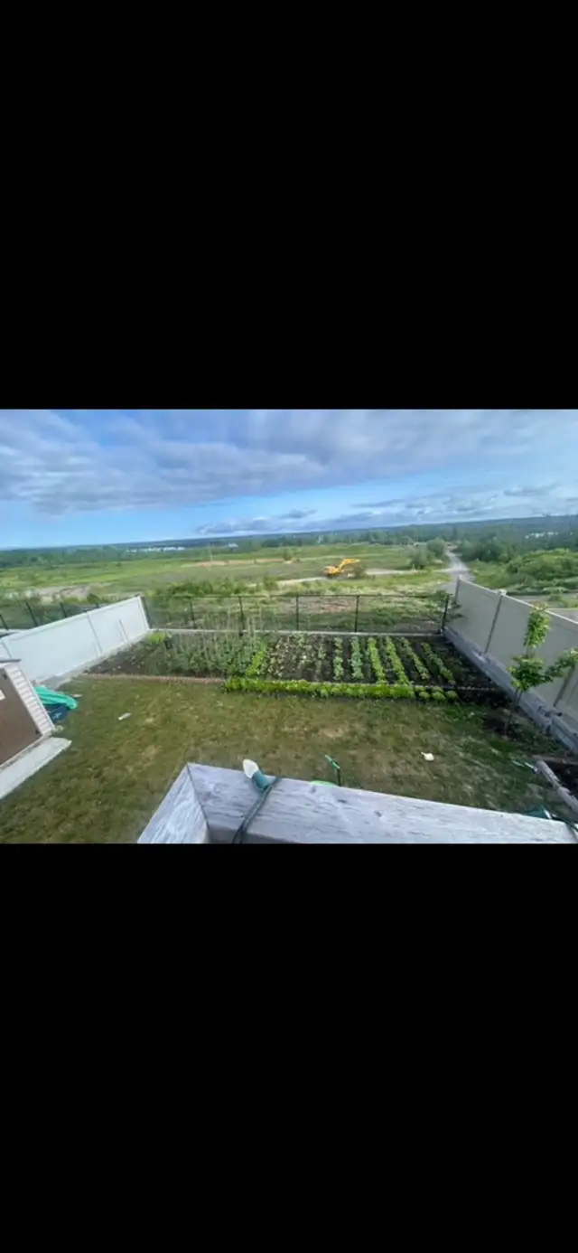 A 2 1 bedroom apartment walking out  basement - Photo 3