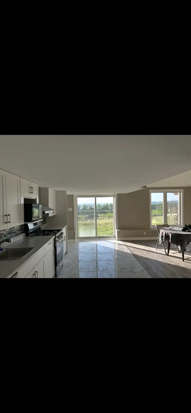 A 2 1 bedroom apartment walking out  basement - Photo 4