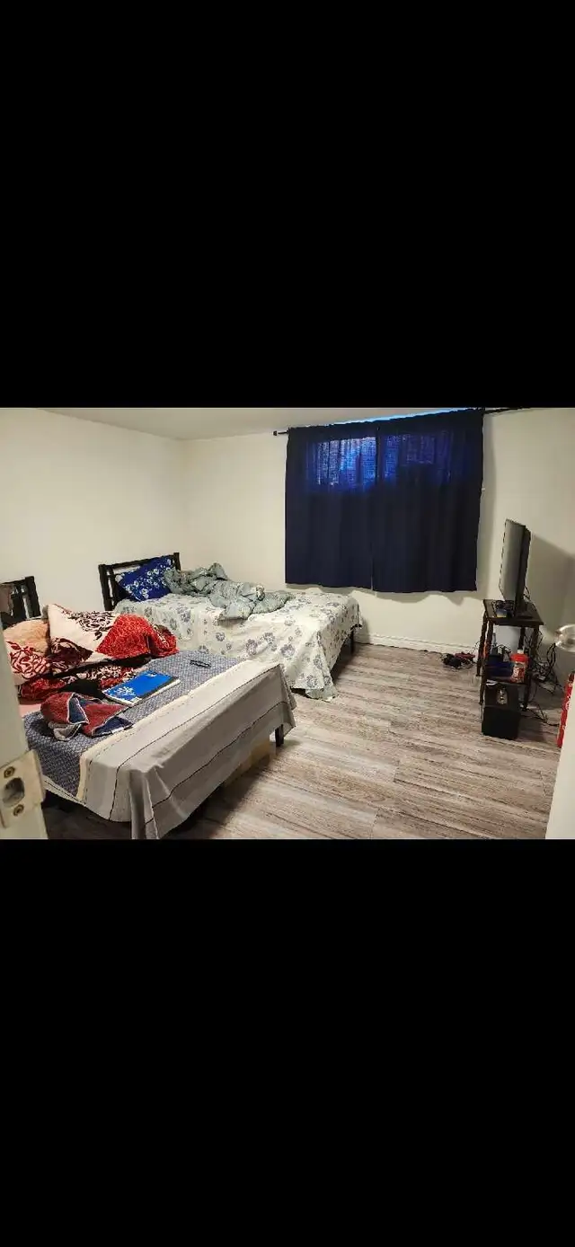 1 bed 1 bathroom for female - Photo 3