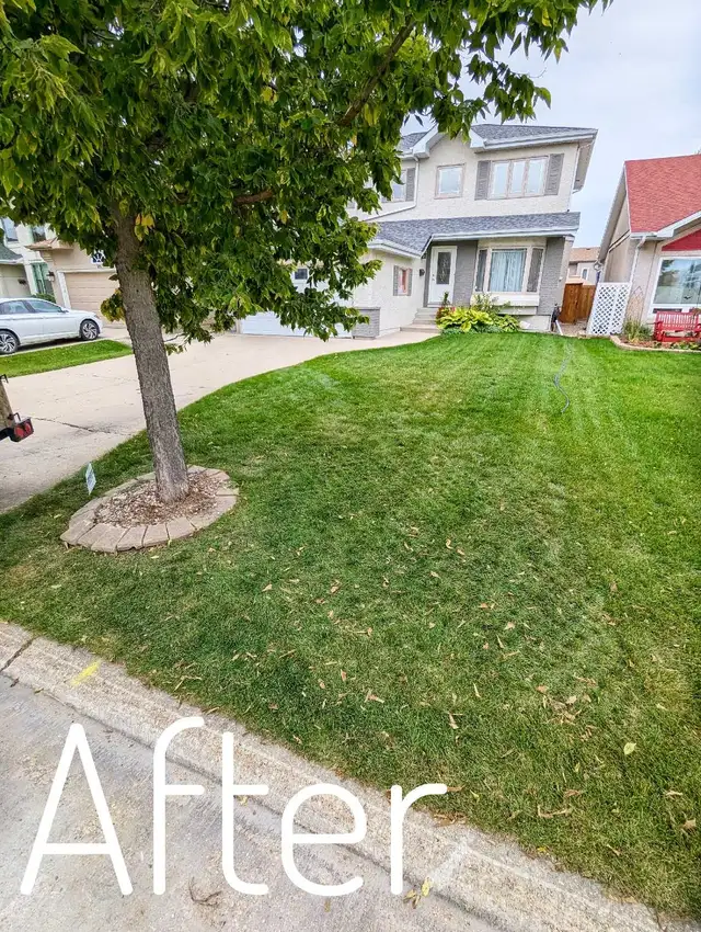 TREVOR'S JUNK REMOVAL SERVICE 204-960-6421 - Photo 6