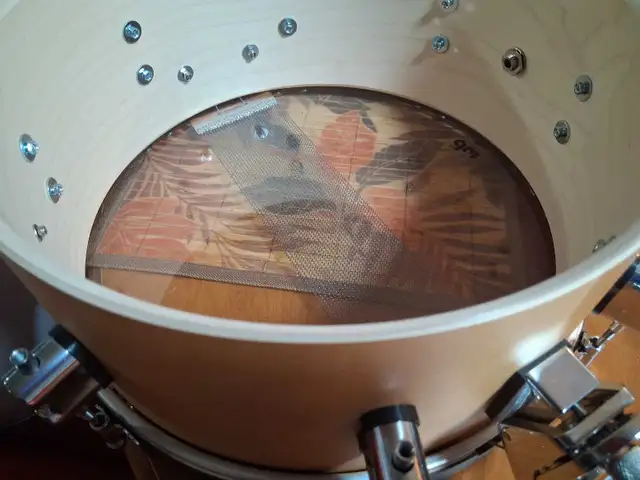 pdp dw snare drum wood hoop - Photo 4