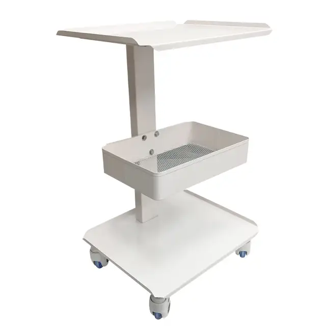 Mobile Trolley Cart Rolling Utility Cart Storage 220604