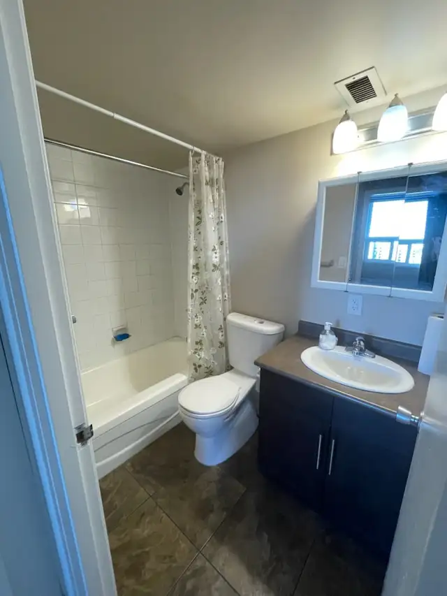 Osborne Village 1 Bedroom - Reduced Rent - Top Floor Suite - Photo 6