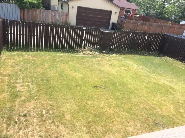 House - Main Floor - 2 Bedrooms and 1 Washroom for Rent - Photo 2