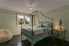 Queen Iron Canopy Bed from Pottery Barn