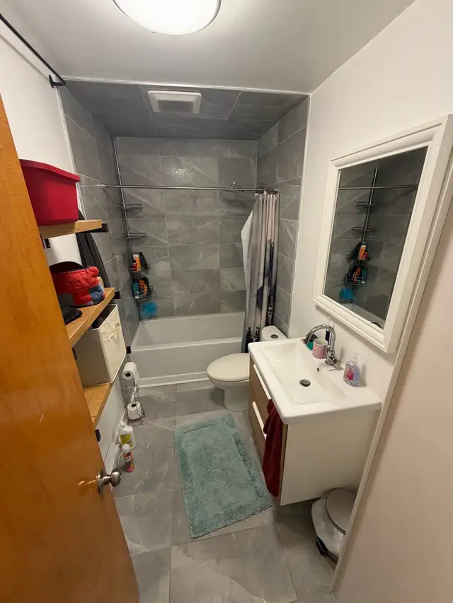 Location 5 1/2 Villeray - Photo 8