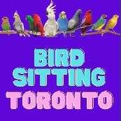 BIRD BOARDING TORONTO! | TEXT 647-490-7156